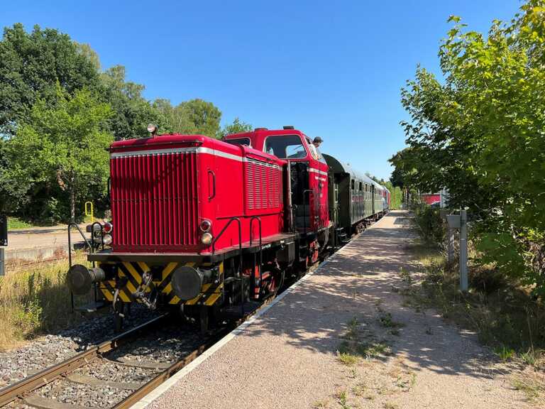 Erleben Sie eine nostalgische Reise ins Lilaland der Lüneburger Heide mit dem Oldtimer-Zug – Ein unvergessliches Abenteuer